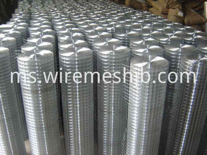 Galvanized Welded Wire Mesh 